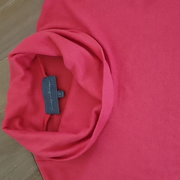 Sunday in Brooklyn Cozy Cowl Pullover Sweater Pink Small - Picture 3 of 7